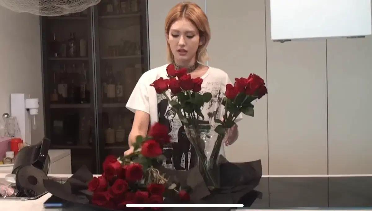 [s] erd 앙팡리쉬데프리메 서울익클 티