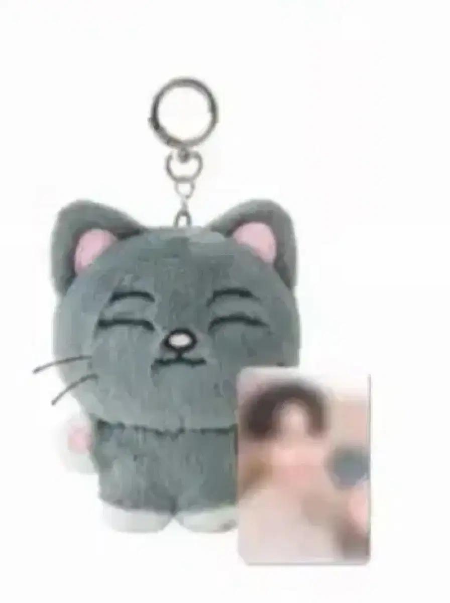 인피니트 피릿츠 엘 인형 구해요!