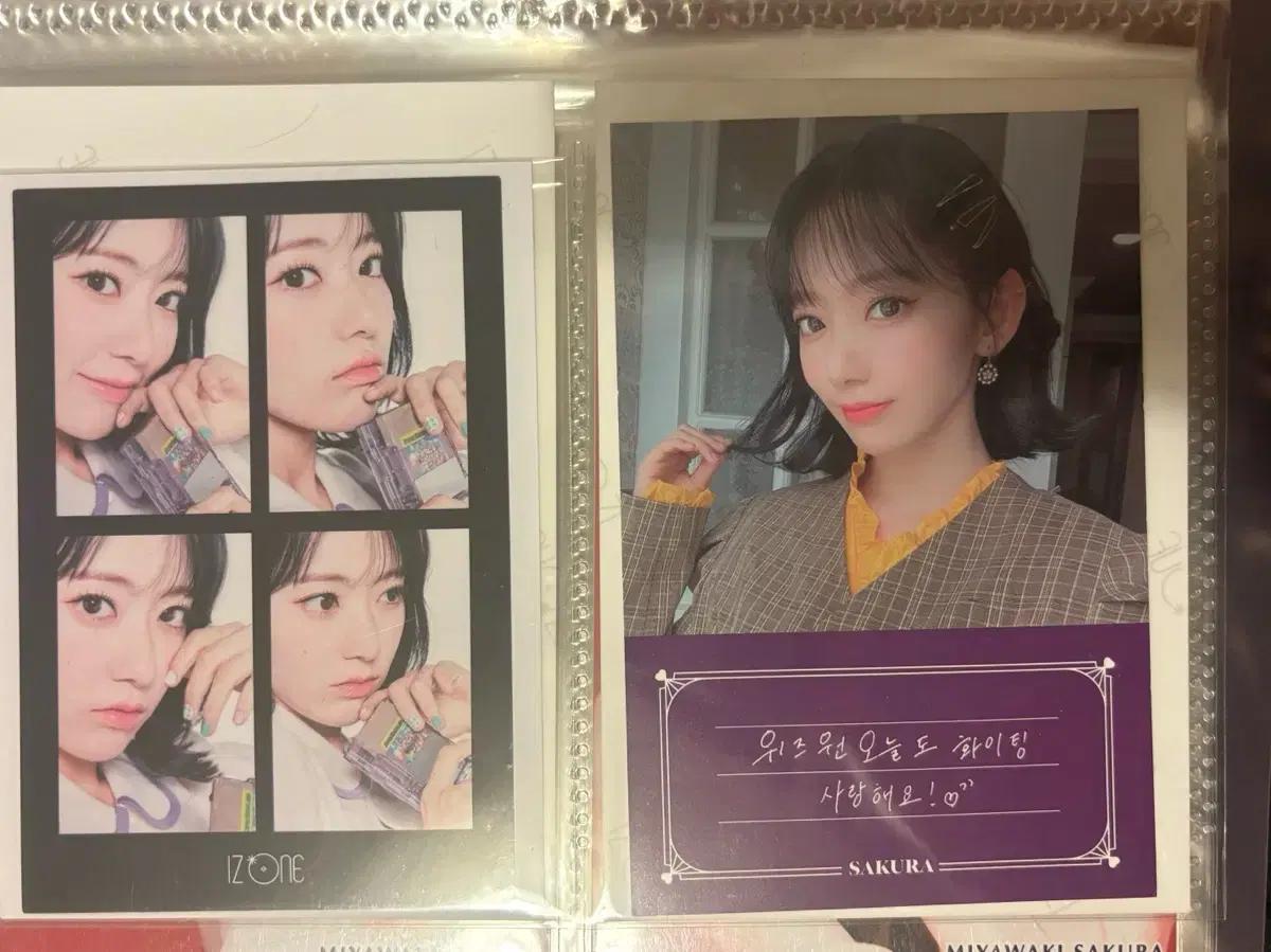 아이즈원 르세라핌 미야와키 사쿠라 환상일기 네컷 멘트