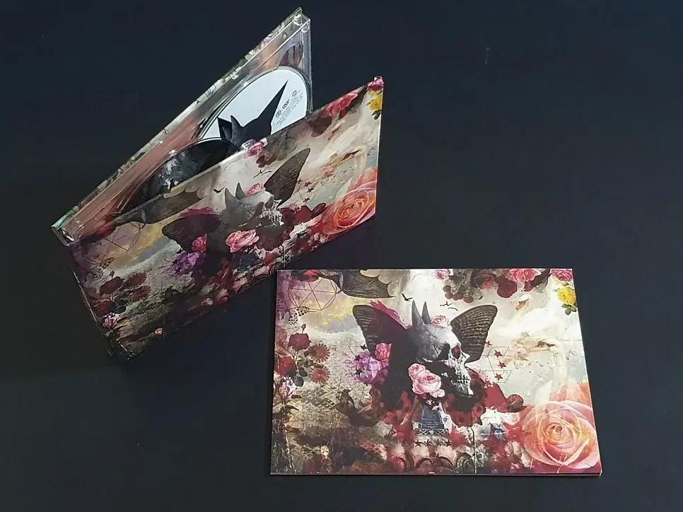 쿠로유메 키요하루 SADS 사즈 앨범 FALLING(CD+DVD) 한정반
