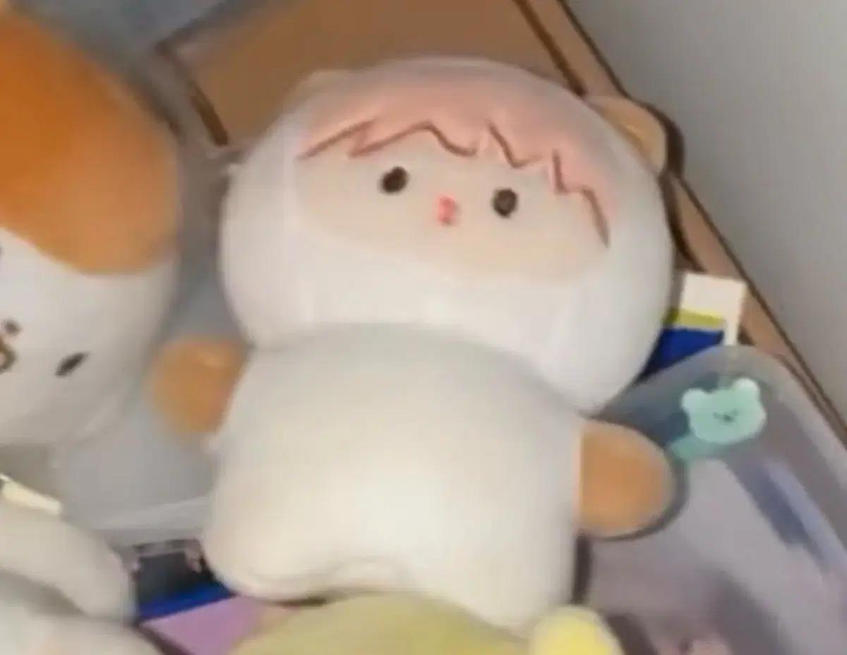지뽀 인형 양도 엔시티드림 지성인형