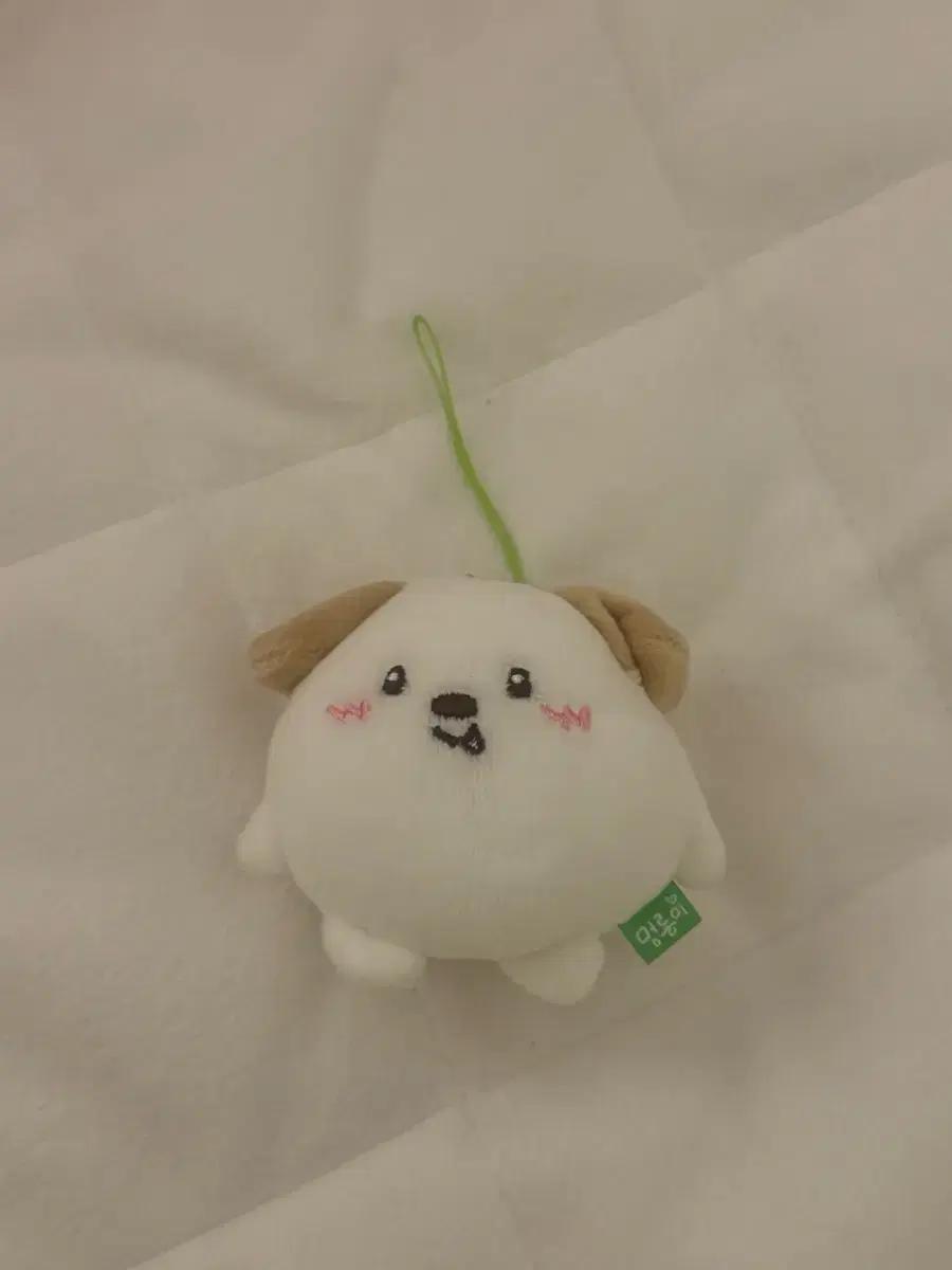 라이즈 미니 멍룡이 인형 양도 판매 급처