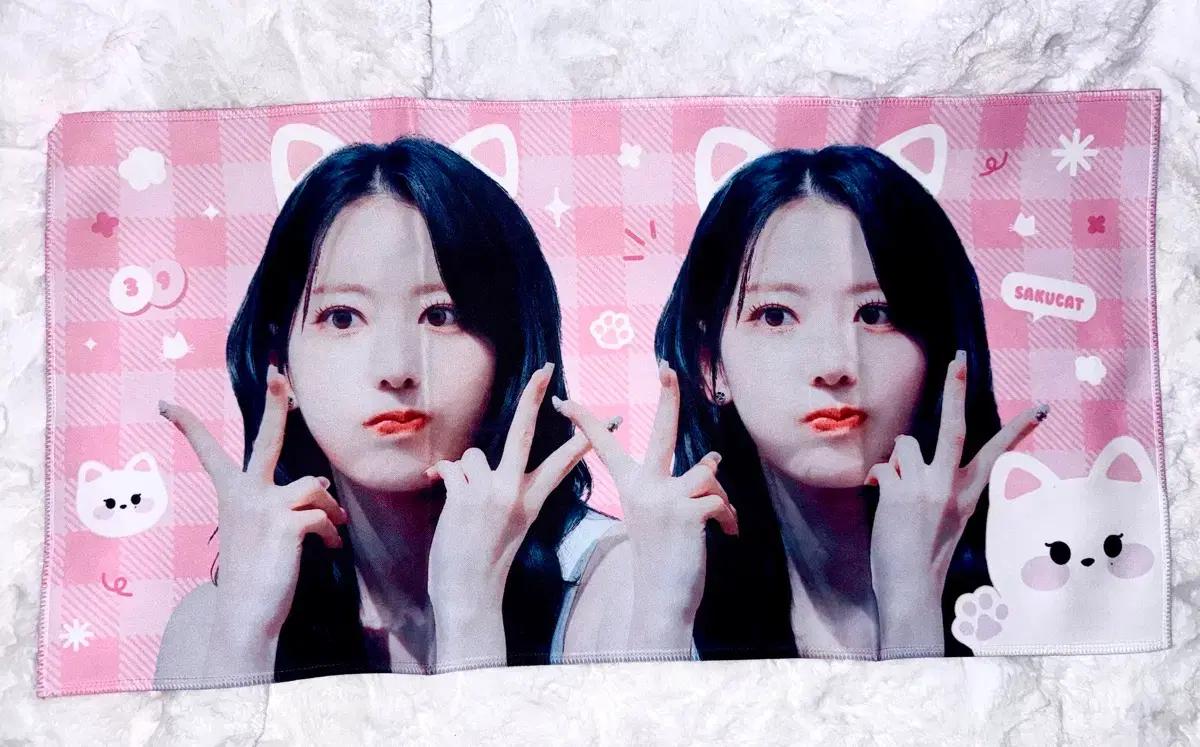 르세라핌 사쿠라 반사 슬로건