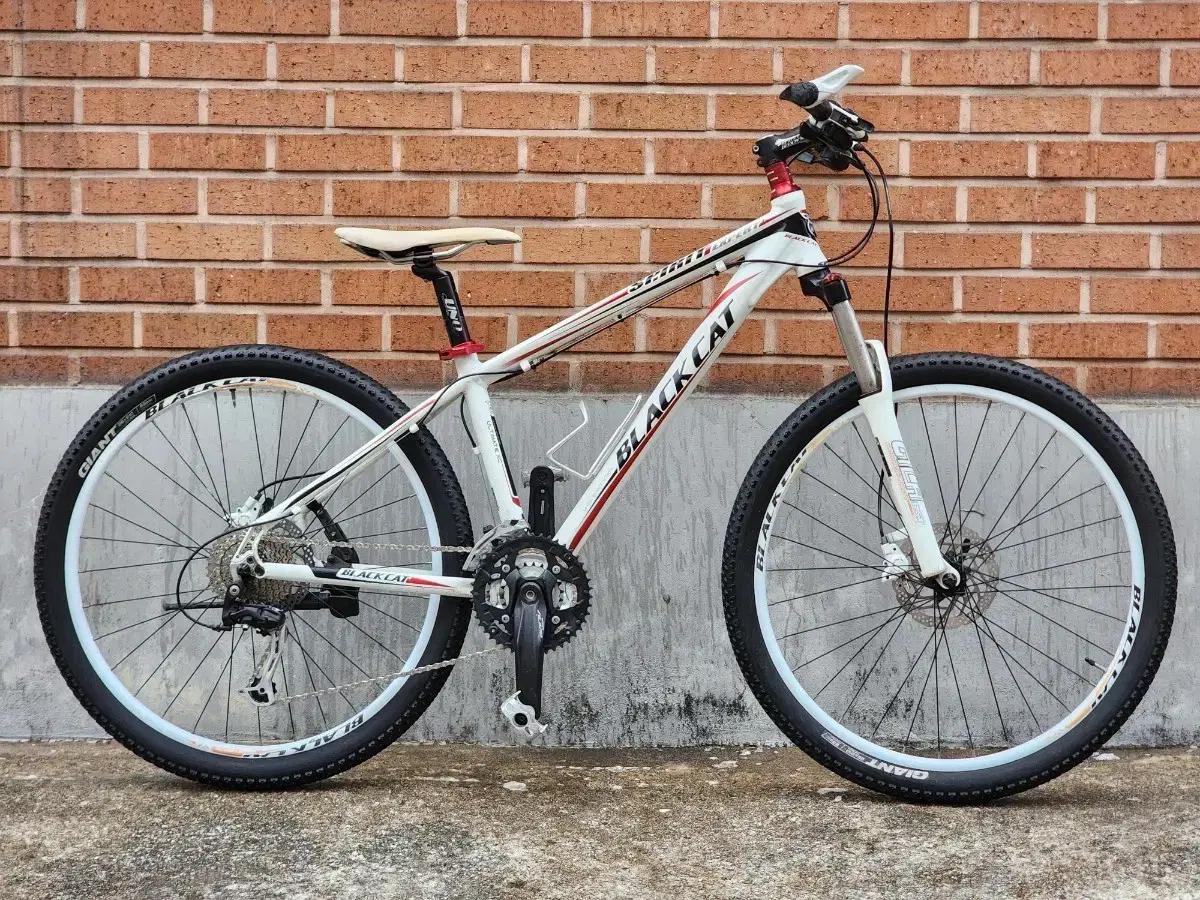블랙캣 스피릿 엑스퍼트 MTB 자전거 팝니다