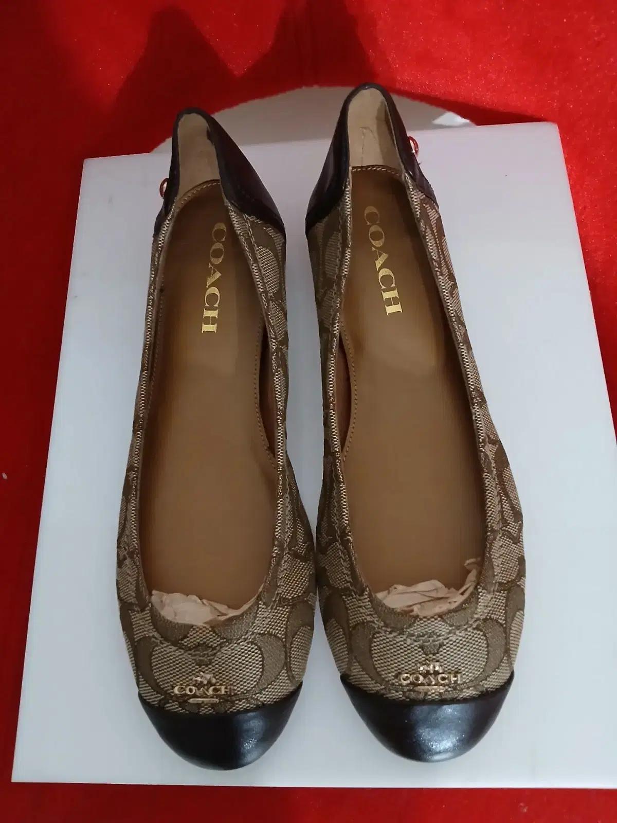 코치 플랫 235