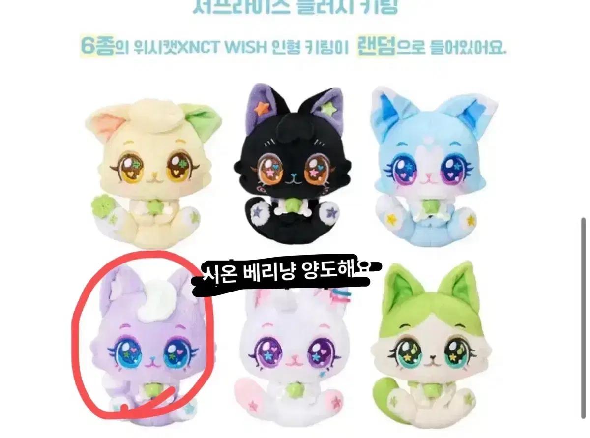 양도)NCT WISH 위시캣 인형 키링