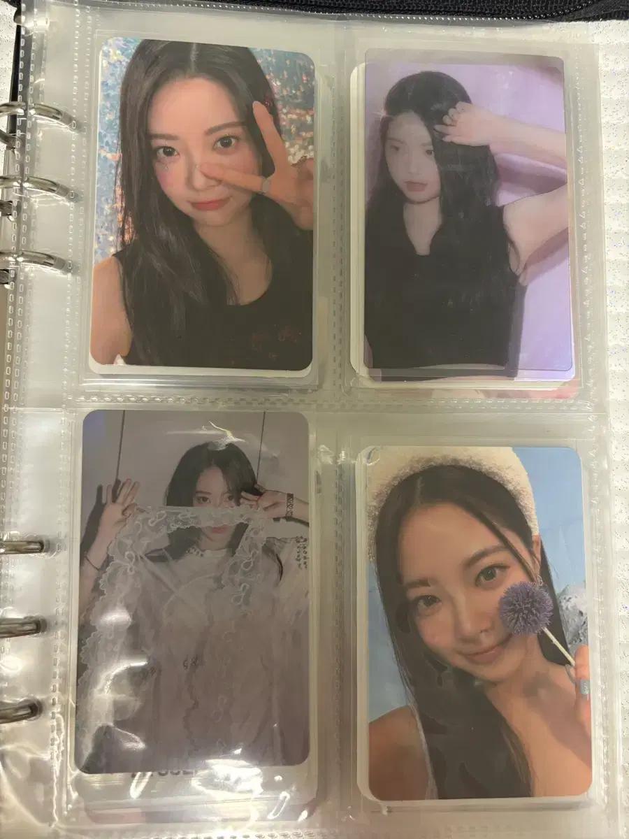 르세라핌 포카