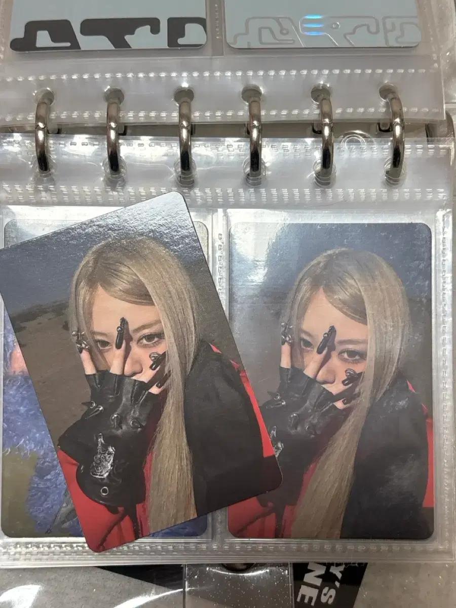 올데프 베일리 포토카드