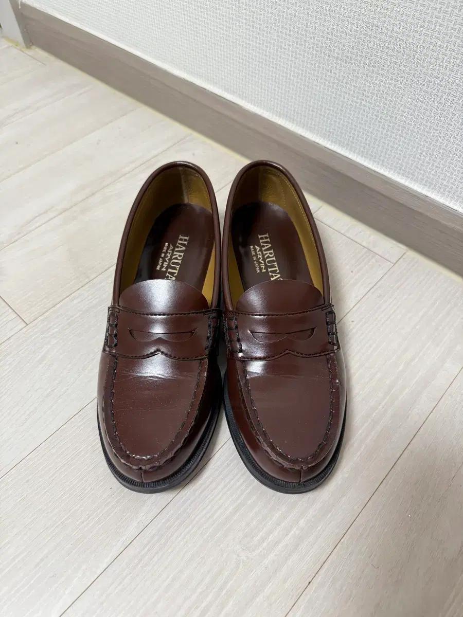 하루타4514 브라운 245