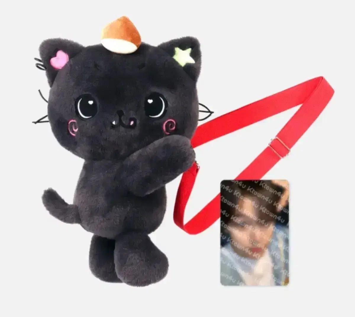 엔시티 위시 리쿠 쿠리 인형 가방 (포카 o)