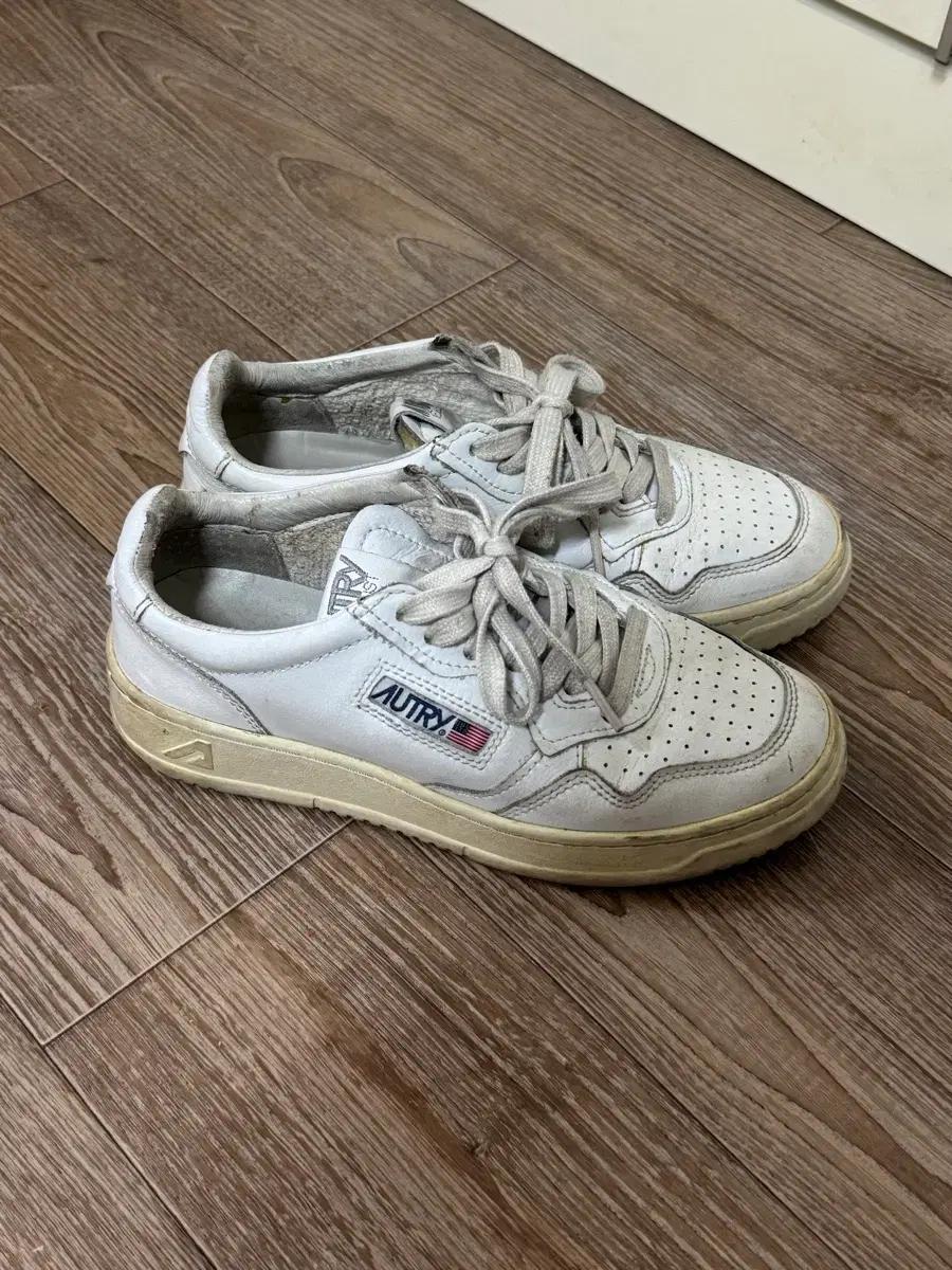 오트리 36