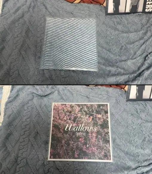 Wallows 왈로우스 Lp 일괄 Nothing Happens , Spr