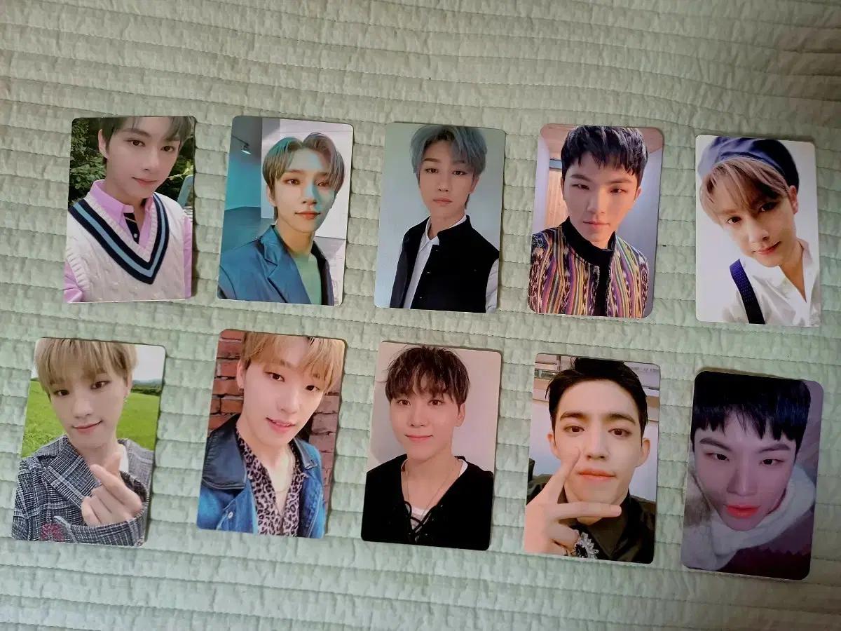 세븐틴 앨범 포카 일괄