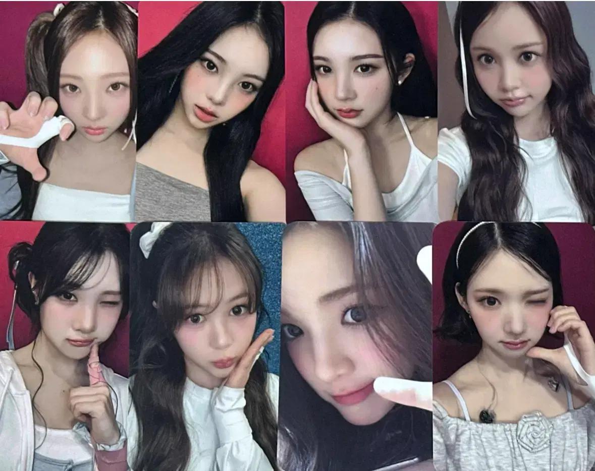 하츠투하츠 하투하 포커스 뮤직코리아 미공포 포토카드 포카 세트 양도