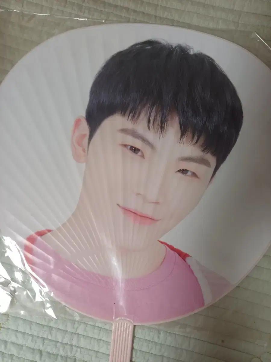 세븐틴 우지 하루콘 하나콘 우치와 미개봉