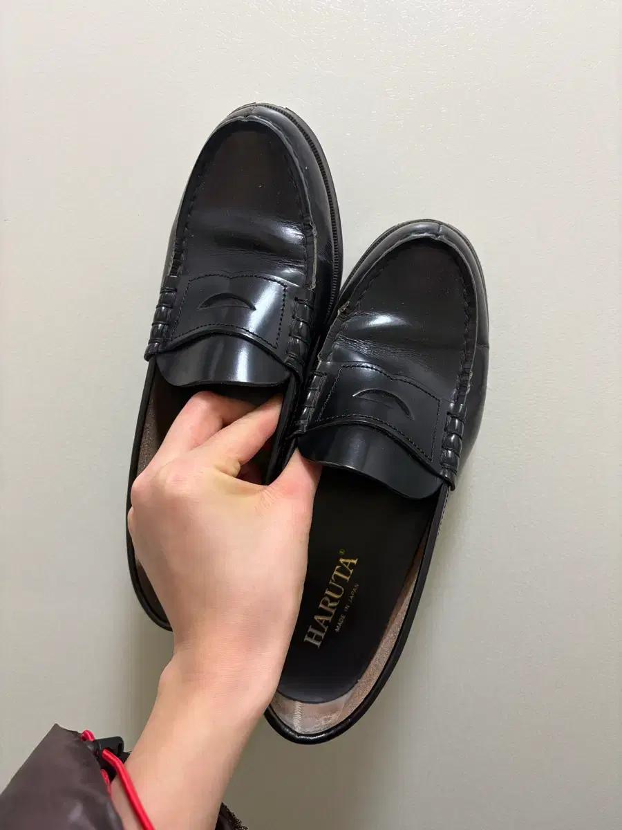 하루타 페니로퍼