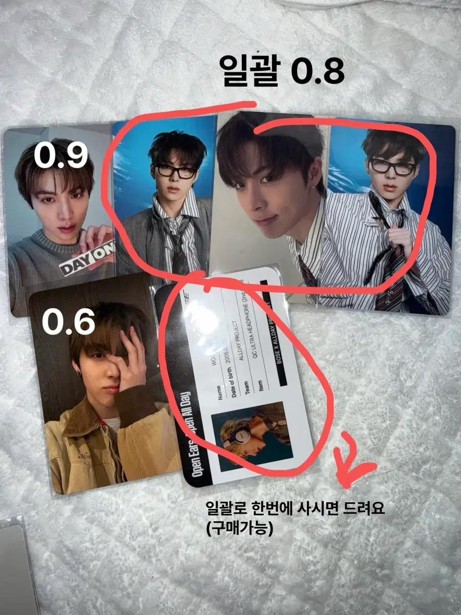 (덤 많음)올데프 포카 양도
