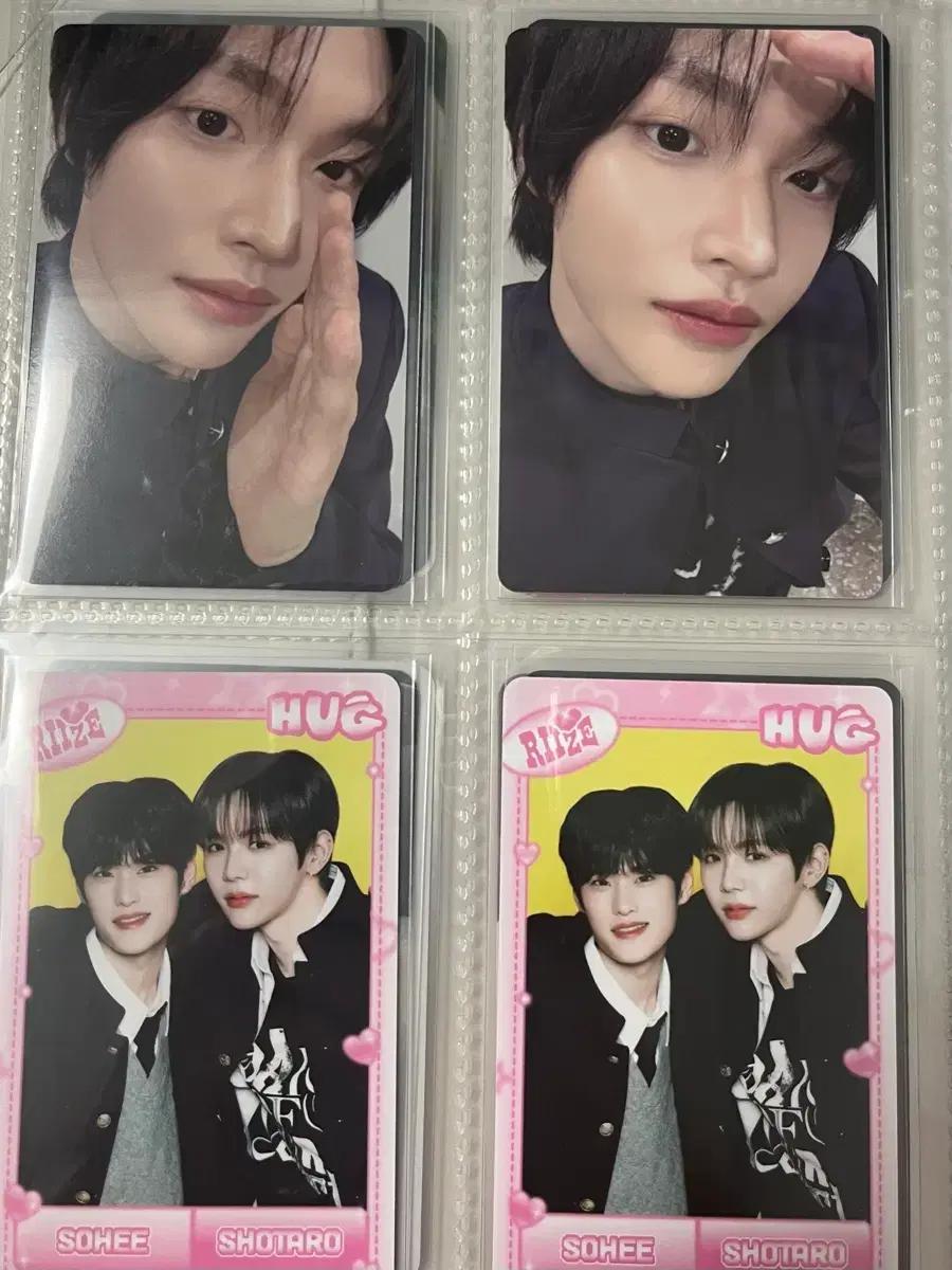 라이즈 포카 양도 쇼타로 성찬 은석 원빈 소희 앤톤