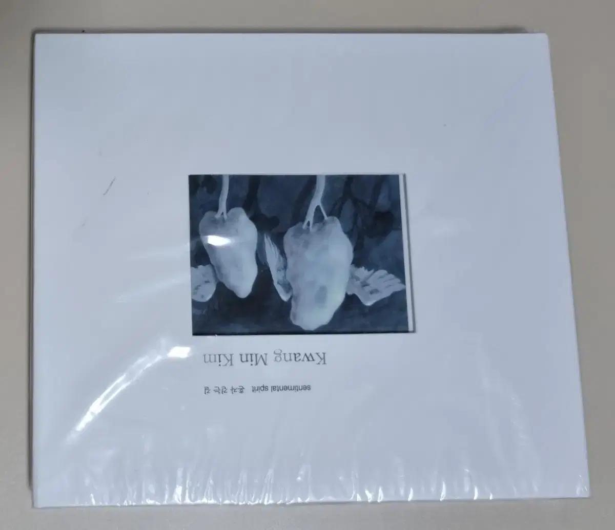 김광민 sentimental spirit 4집 미개봉 CD