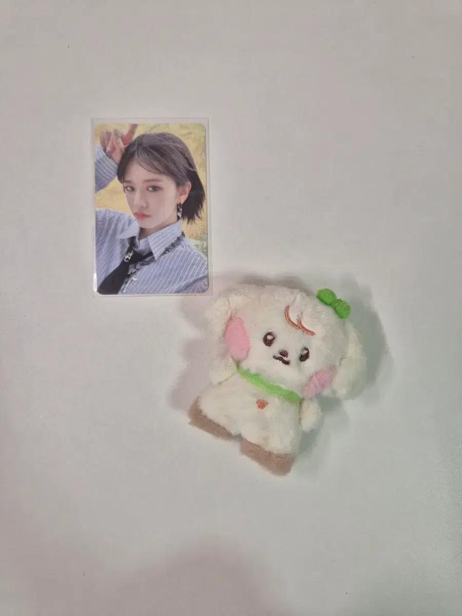아이브 안유진 마인 쥬얼 스스퀘 특전 양도합니다.