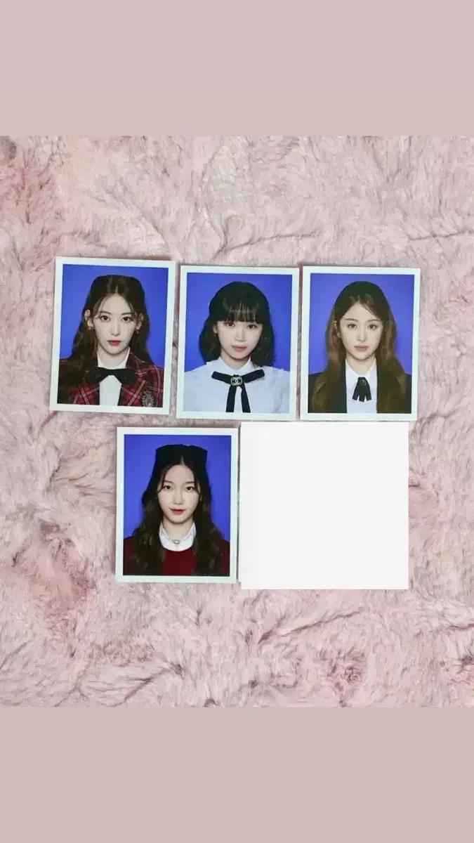 르세라핌 증사 팔아요