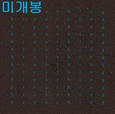전진희 - Breathing (미개봉, CD)
