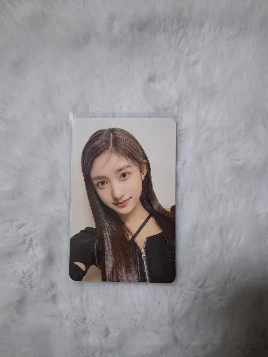 아이브 이서 일레븐 포토카드