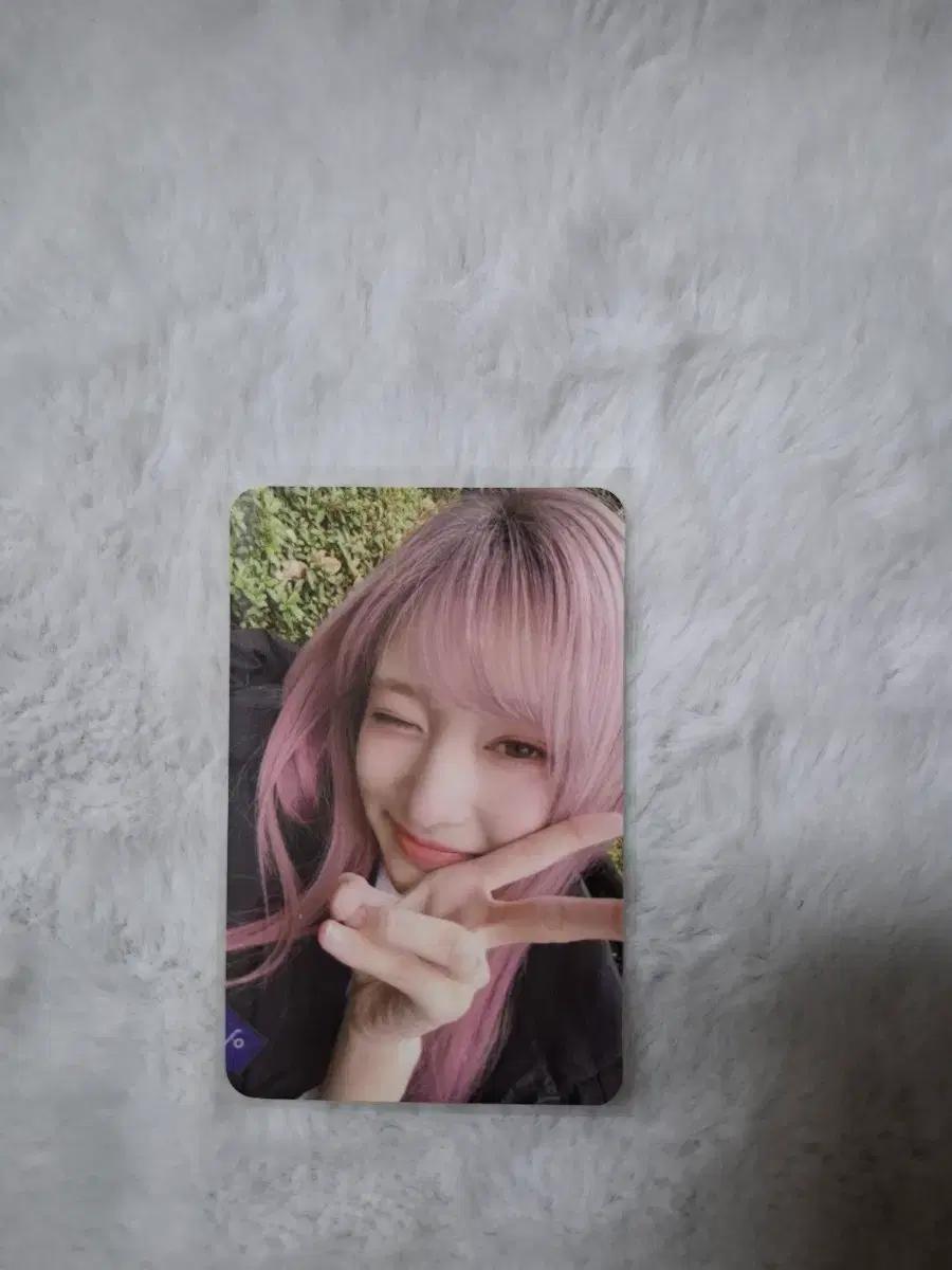 아이브 엠파시 이서 포토카드