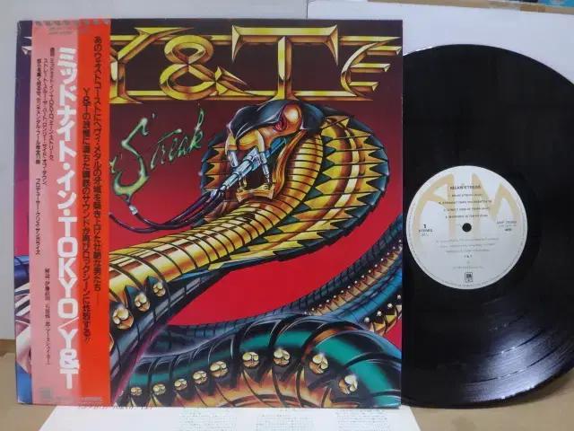 (일본 LP) Y and T - 1983년 초반 Heavy Metal