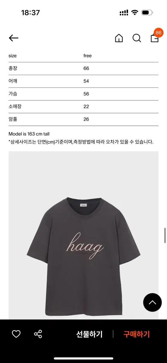 헤이그 반팔티
