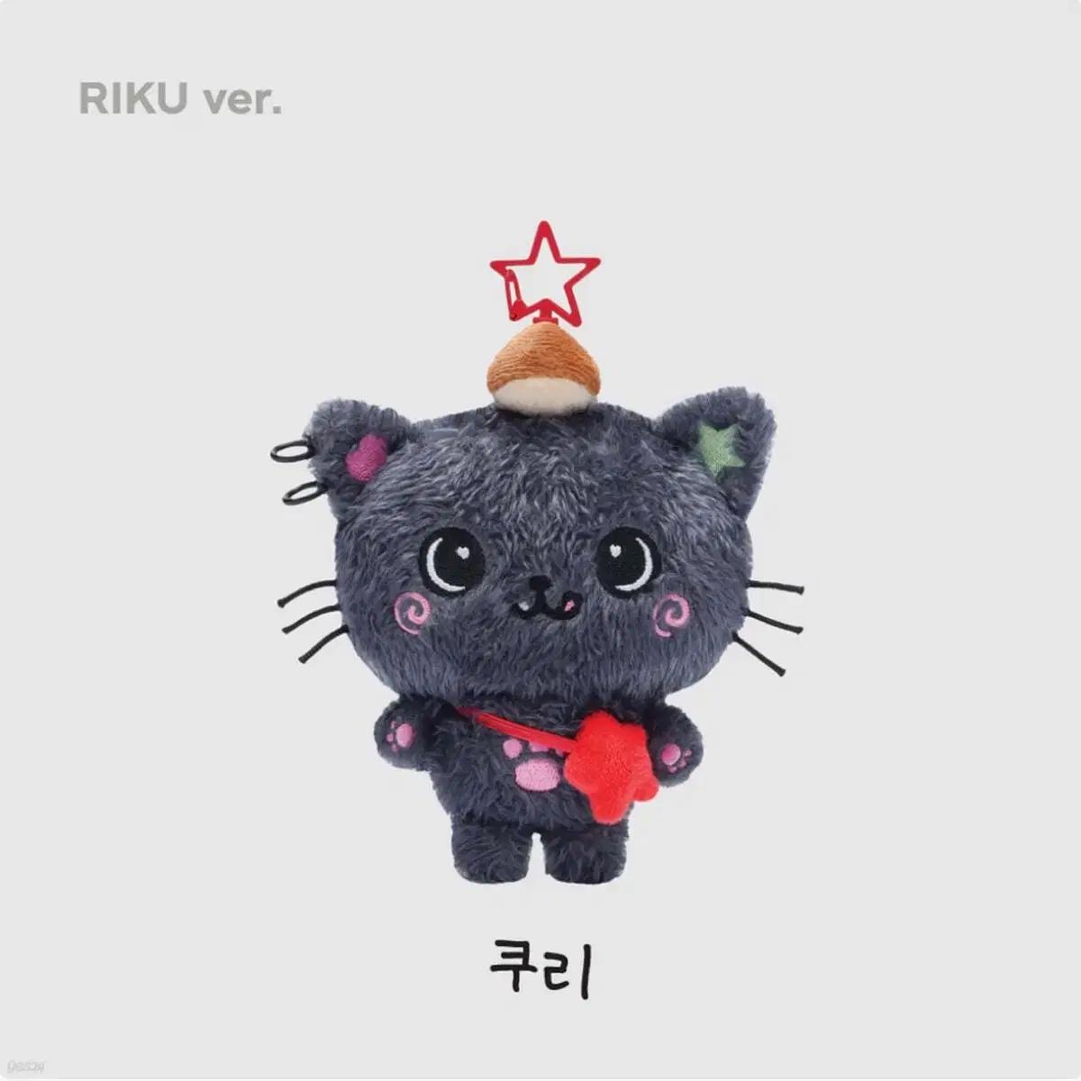 엔시티위시 초판 위시돌 리쿠 쿠리 인형