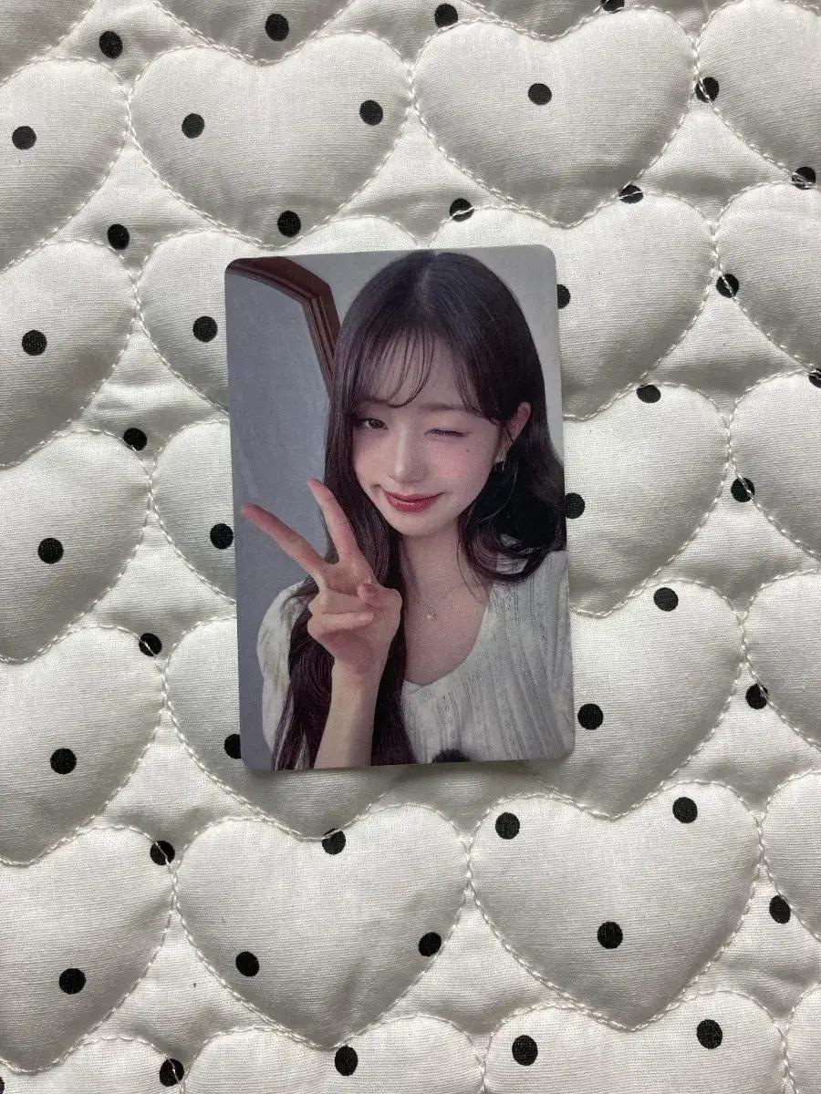 ive아이브 포카 장원영 오사카8.16
