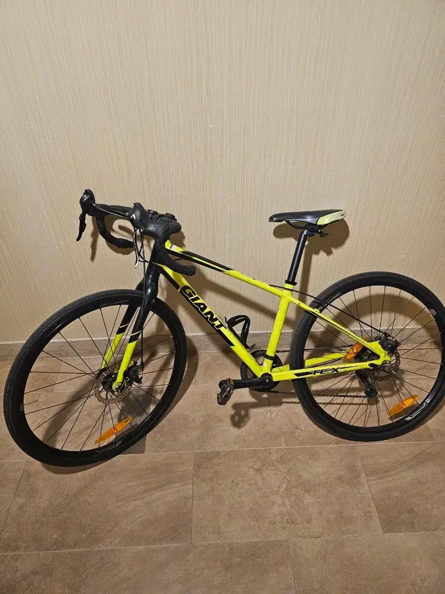 자이언트 TCX 에스포와르 26 (GIANT TCX ESPOIR 26)