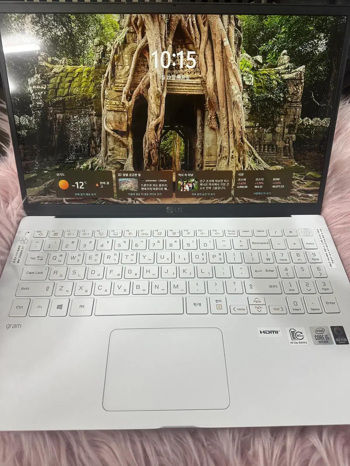LG 그램 i5 10세대 15ZD90N-VX50K 노트북 판매합니다