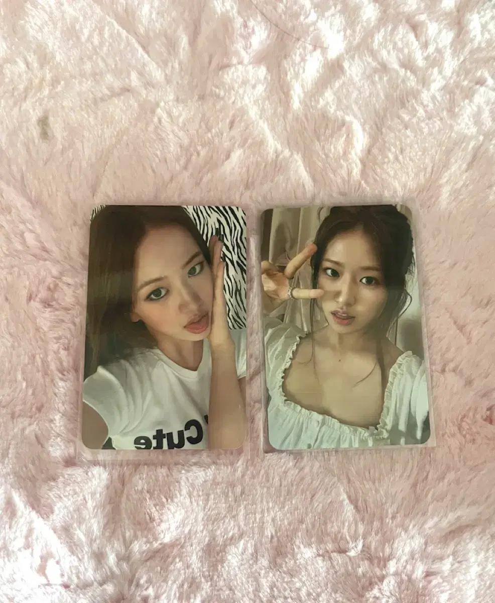아이브 유진 포카 레이로 교환 구함