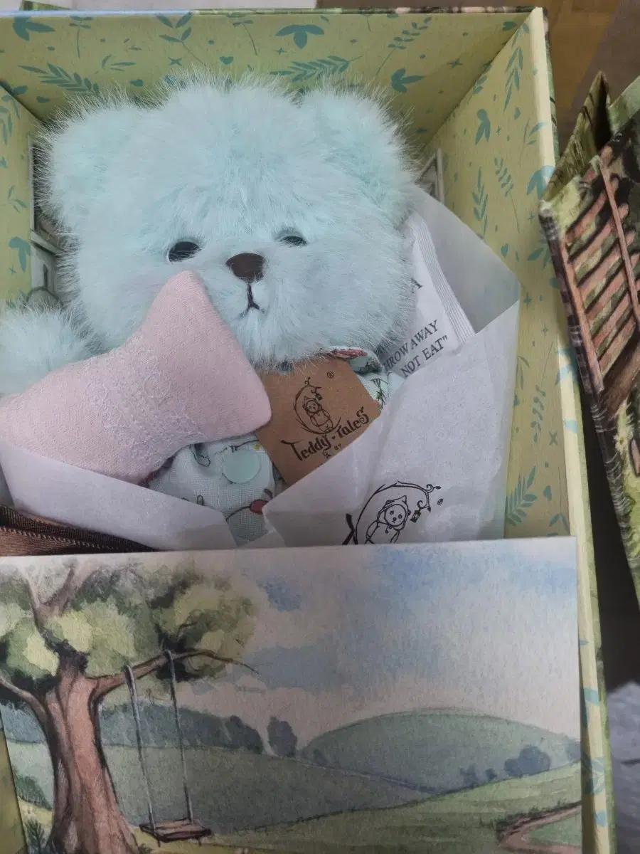 Teddy Tales 테디테일즈 슬리피헤드 s인형 새상품