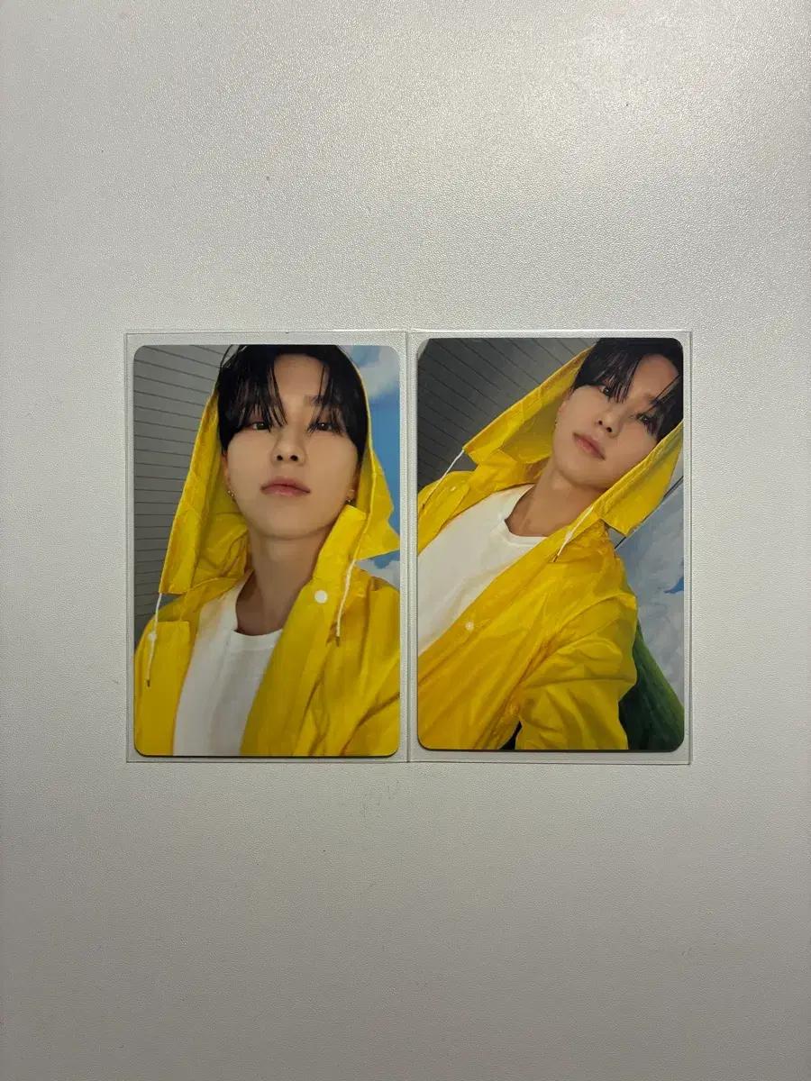 세븐틴 호시 포카