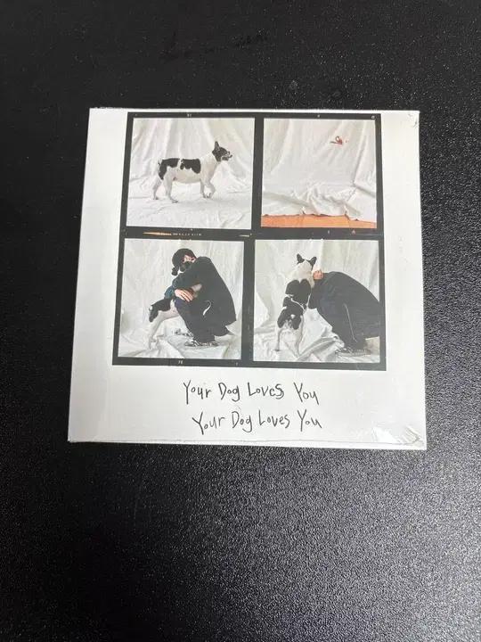Colde - Your Dog Loves You 미개봉 앨범cd