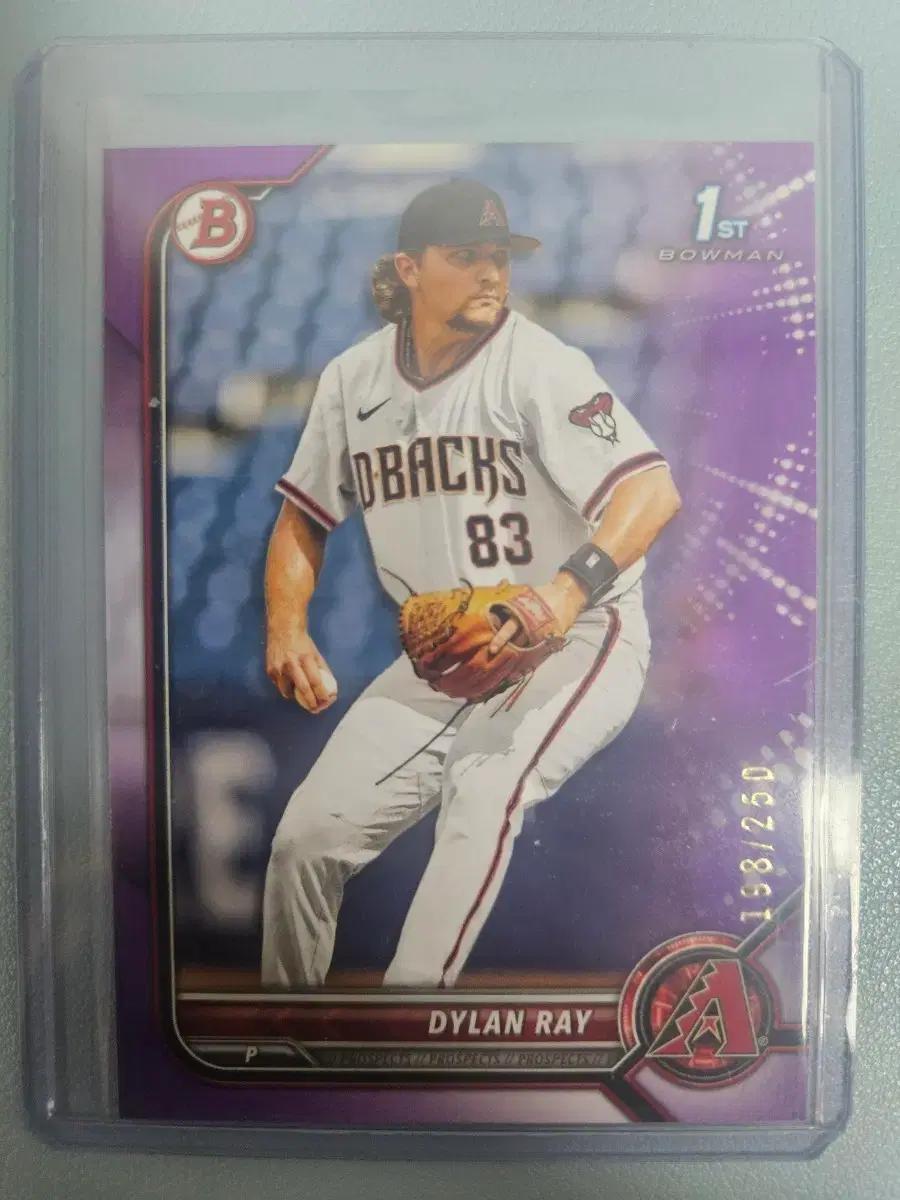 MLB 딜런 레이 /250
