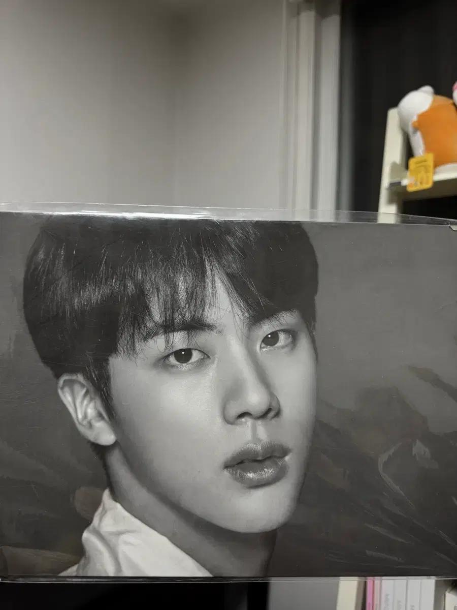 BTS 방탄소년단 진 JIN 프리미엄 포토 THE WINGS TOUR
