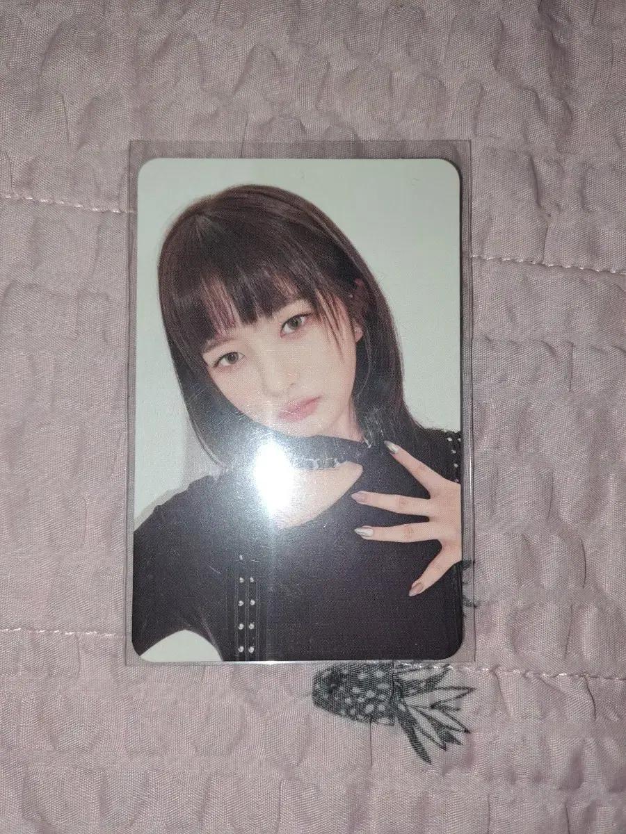 아이브 일레븐 레이 앨포 양도