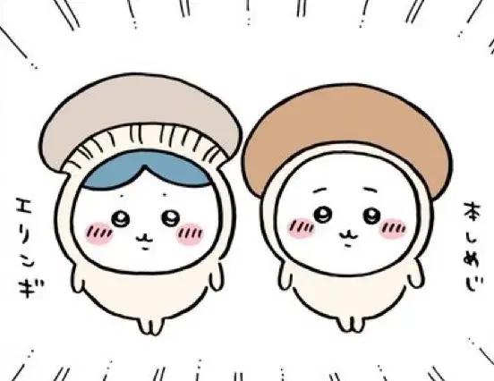 하이큐 키노코스 누이 이와이즈미