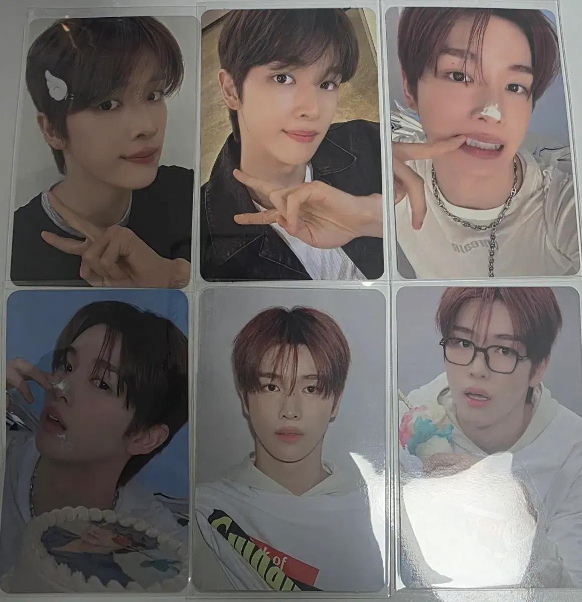 라이즈 시그 포카