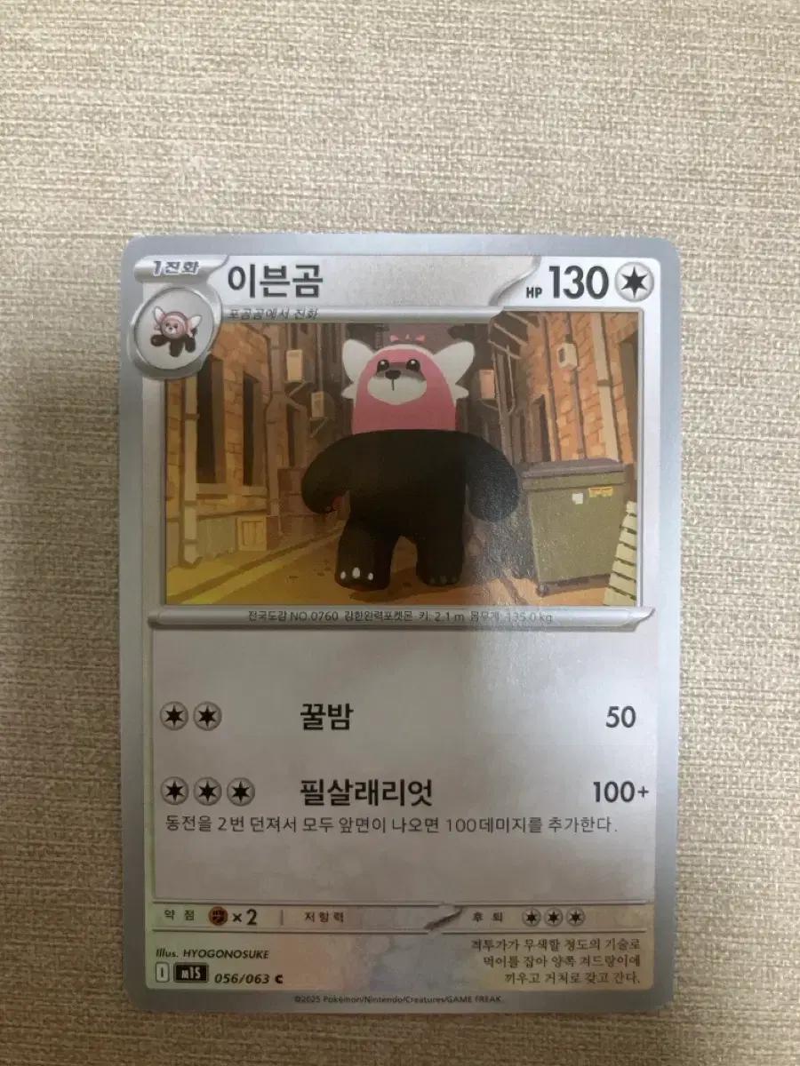 포켓몬카드 이븐곰