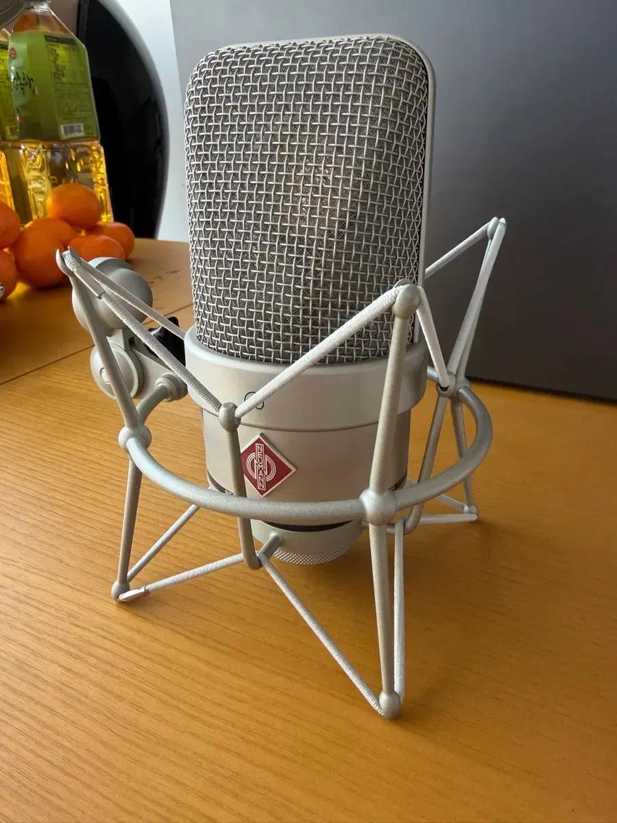 Neumann 노이만 마이크 tlm-49