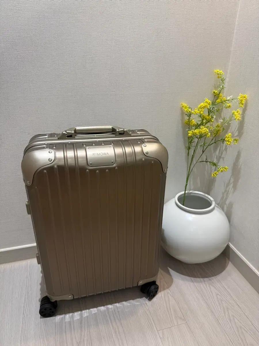 리모와 오리지널 캐빈s 티타늄골드 색상