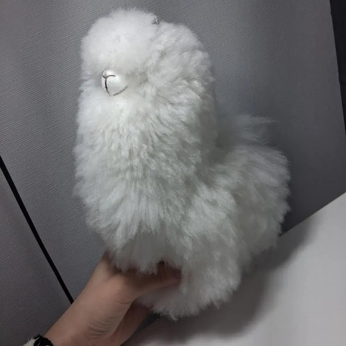 컴발리 알파카 인형