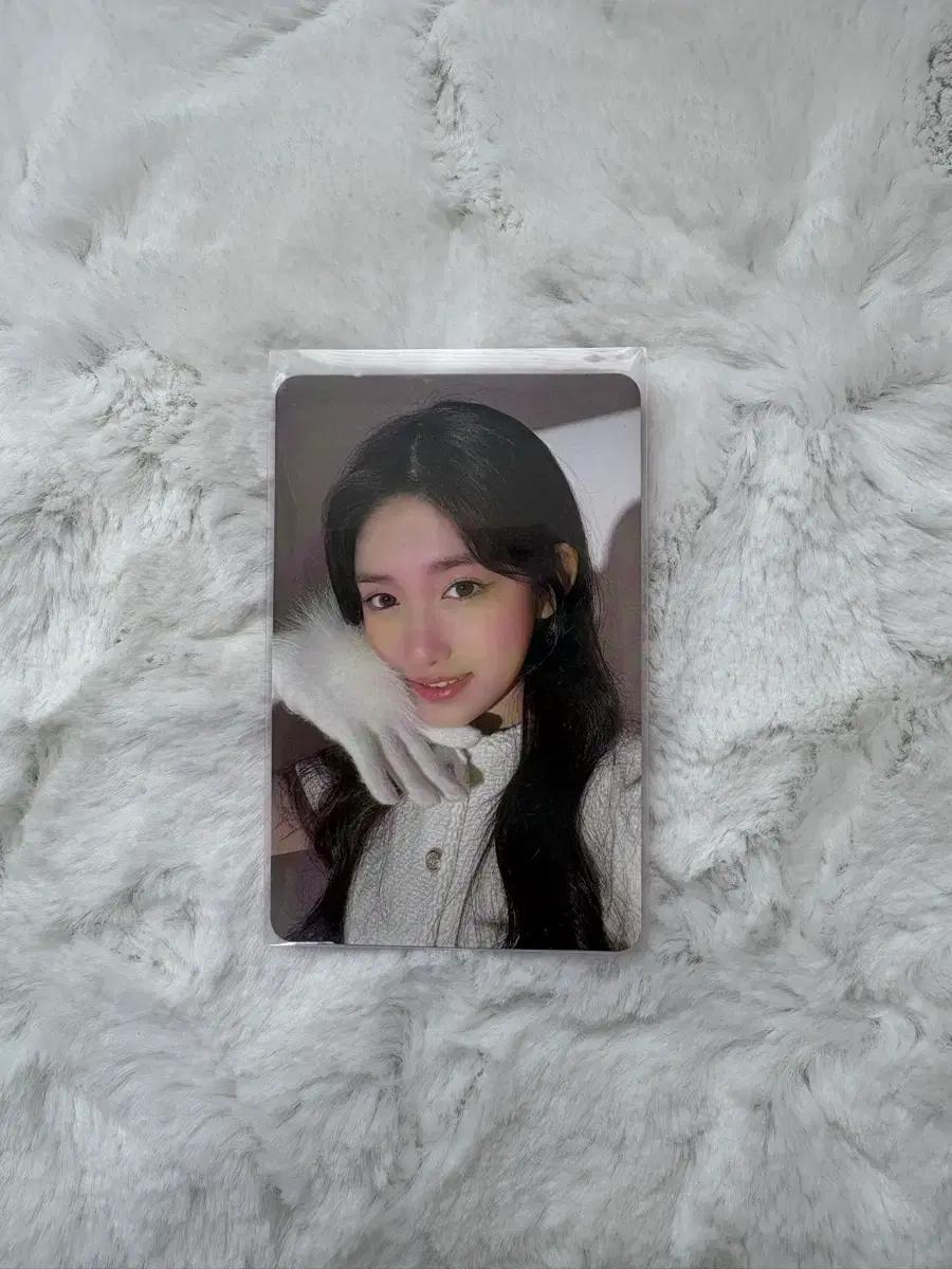아이브 장갑이서 포카