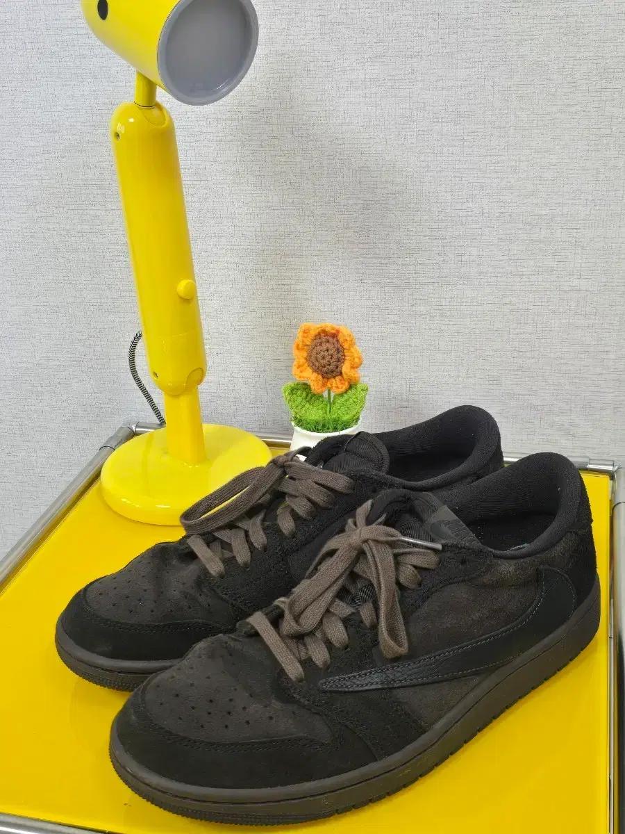 스캇 조던 벨벳브라운 270