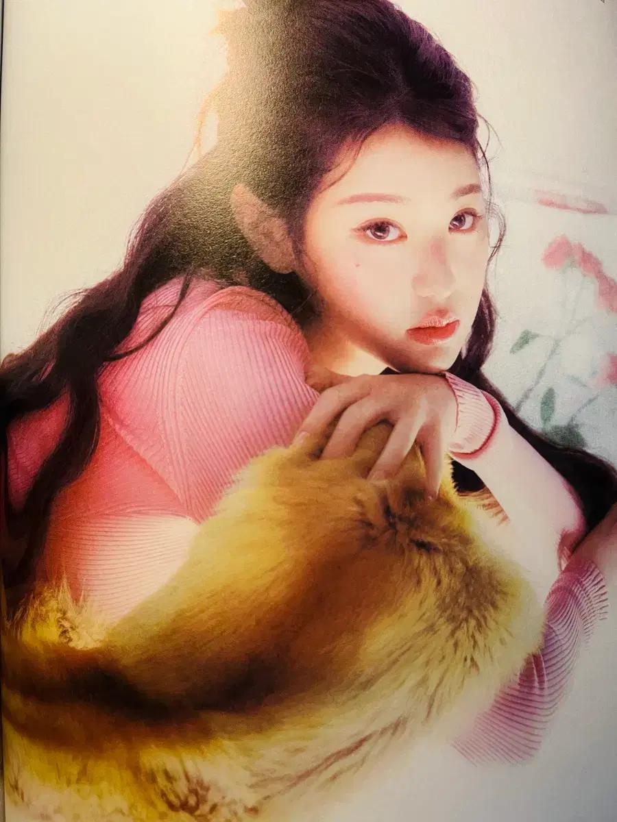 아이브 장원영 화보